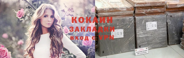 дурь Пестово