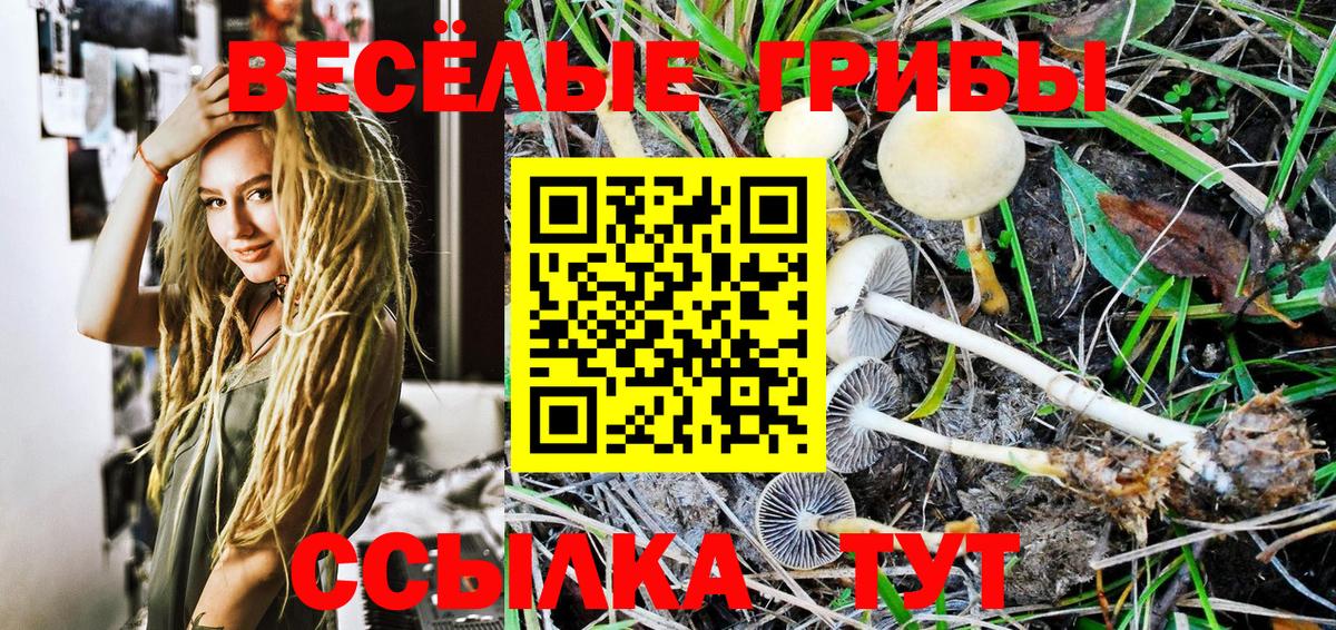 Галлюциногенные грибы GOLDEN TEACHER  Орск  Псилоцибиновые грибы Cubensis 