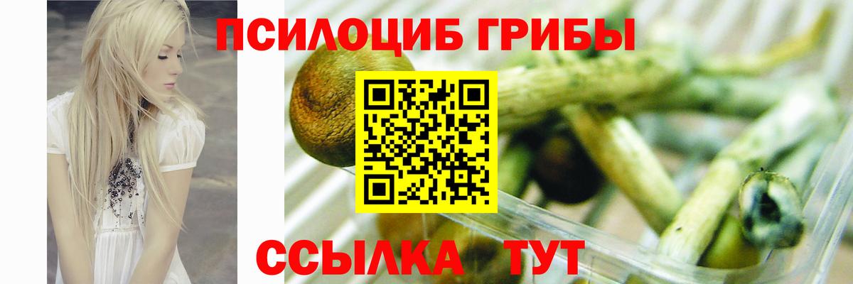 Псилоцибиновые грибы мицелий  Вход с VPN  где можно купить   Орск 